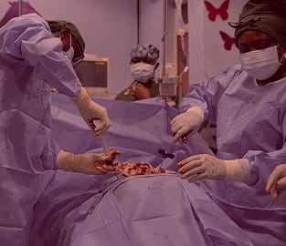 Bone Marrow Transplant