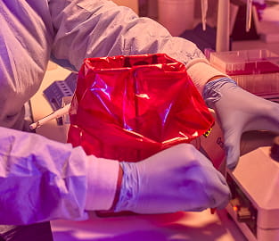 Molecular Laboratory