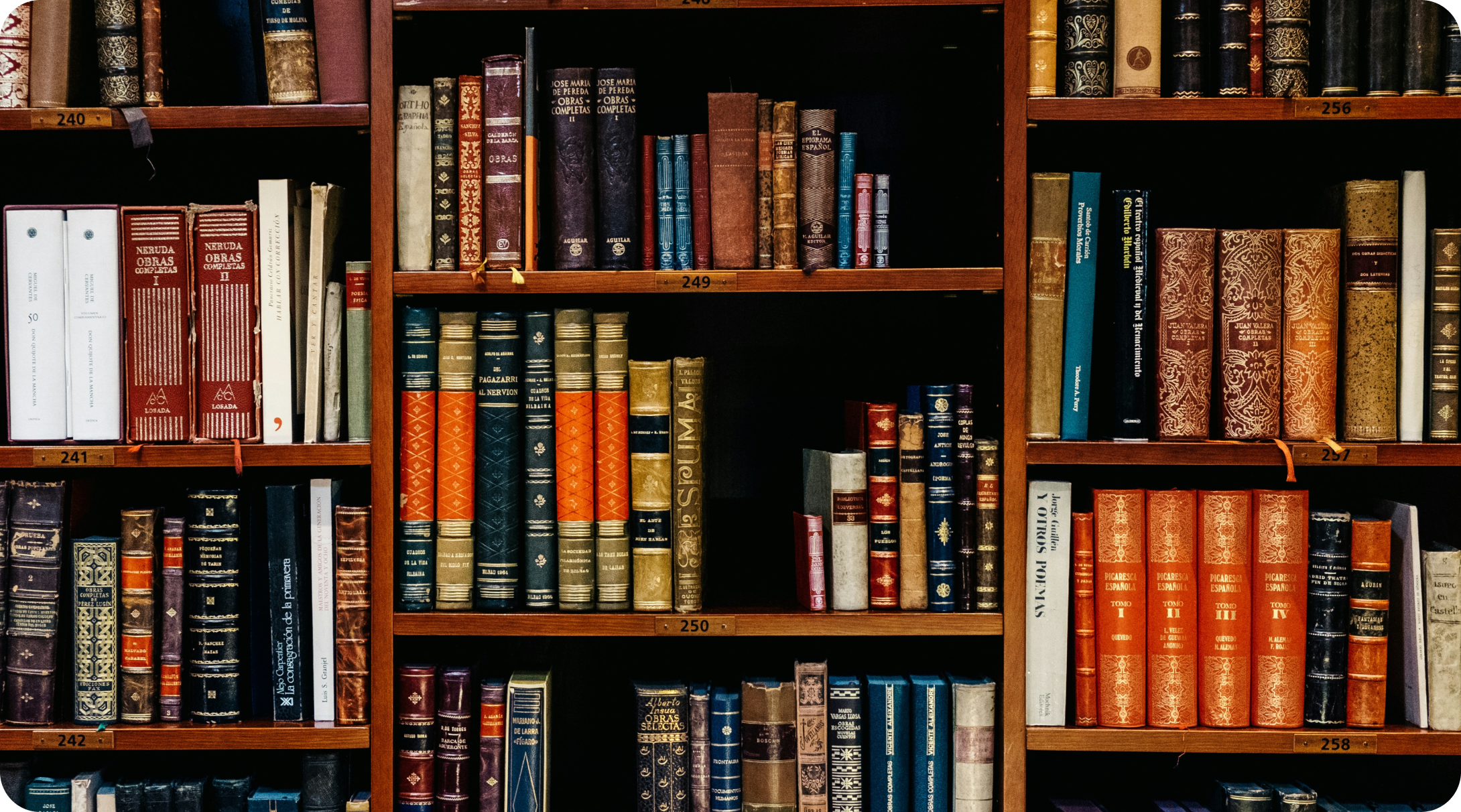 Bookshelves in the Resource Centre library